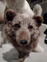 /home//u458753944/public_html/sourcegallery//other/uk 2023/edinburgh/IMG_20230913_153042537.jpg